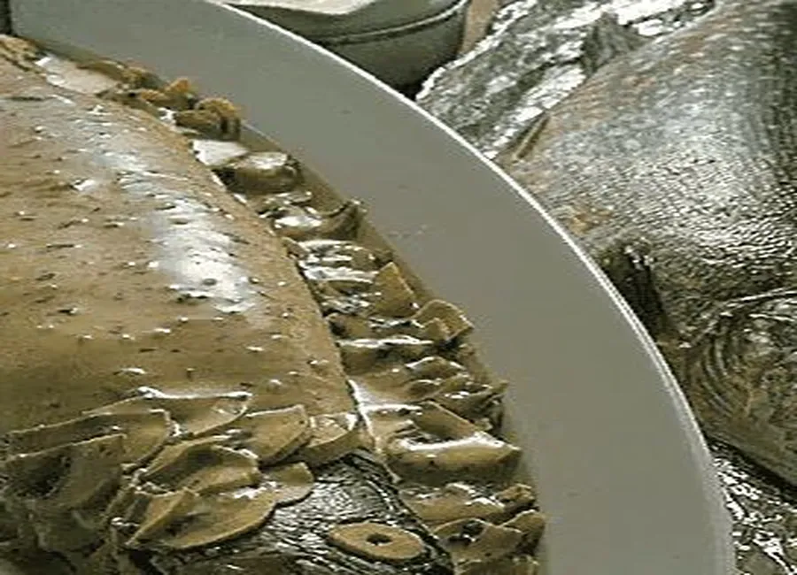 Brochet à la crème