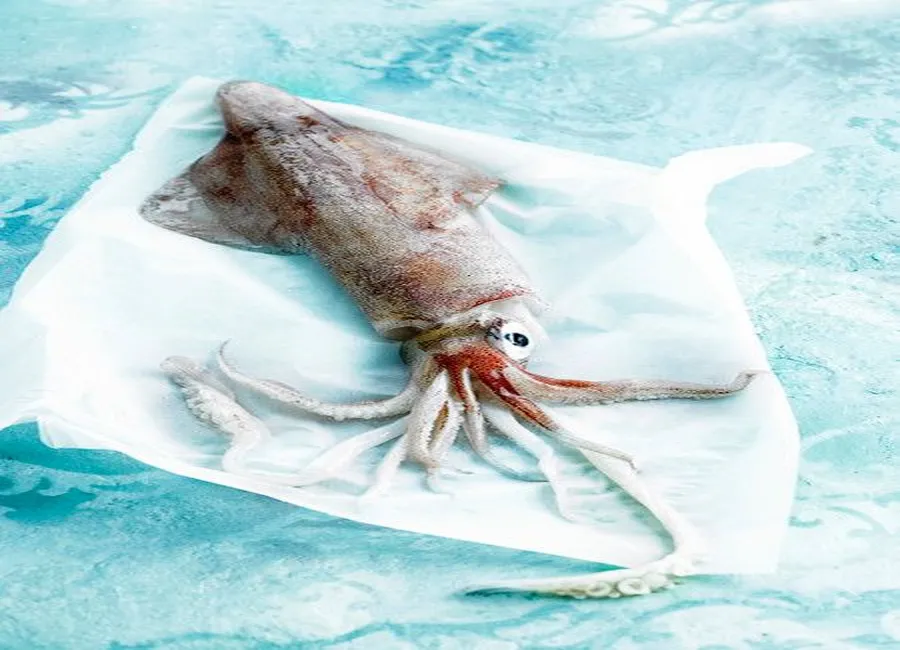 Calamars au curry rouge