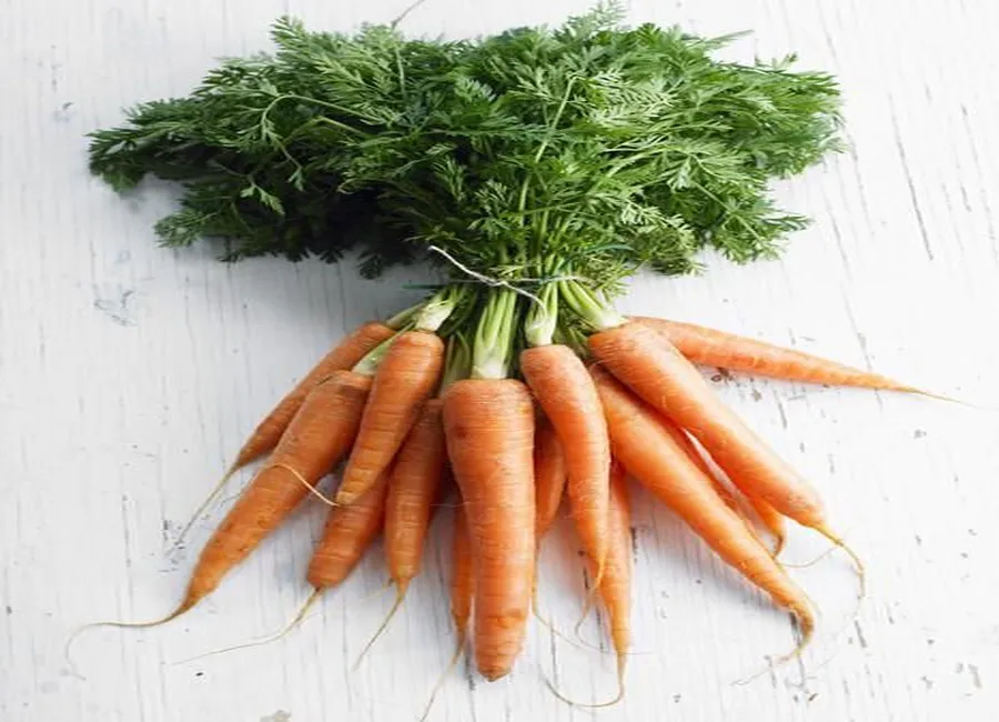 Carottes râpées au citron vert et sésame