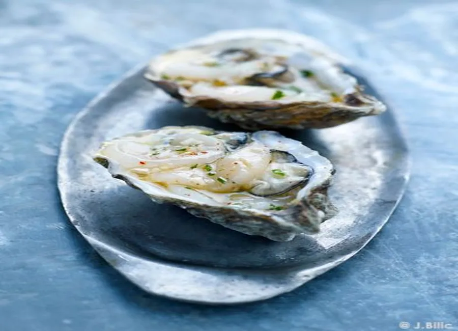 Ceviche de saint-jacques et d'huîtres