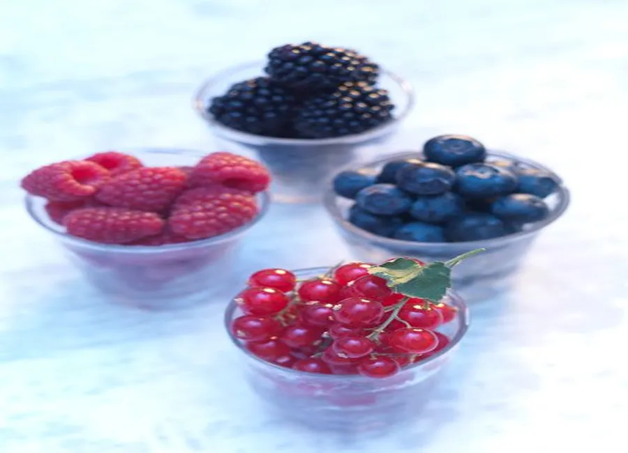 Chantilly de chocolat blanc, purée de fruits rouges et spéculoos