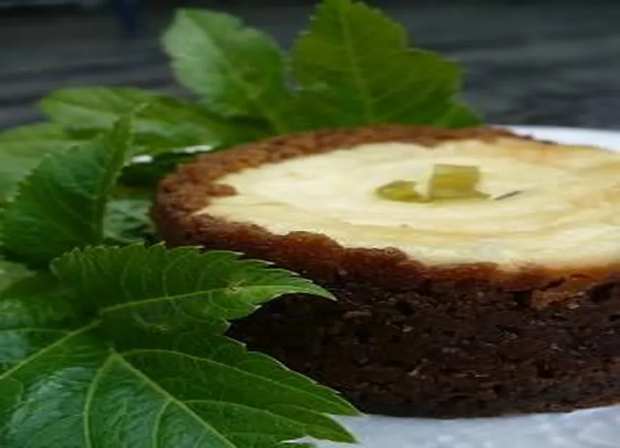 Cheesecake à l'angélique confite