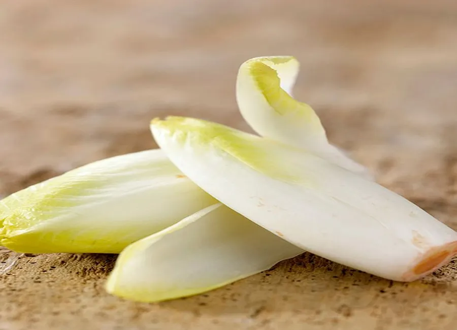 Chiffonnade d'endives à la crème