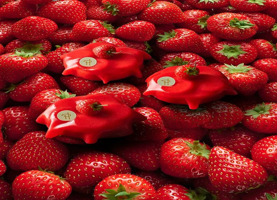 Constellation fraise de pierre hermé (gourmandise raisonnée)