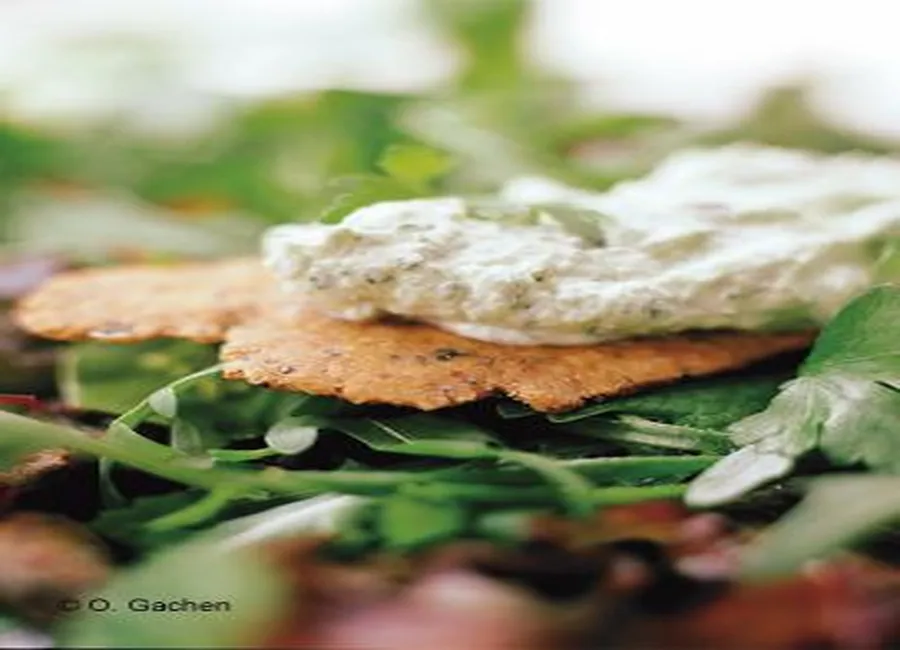 Crakers de petit épeautre et crème de chèvre persillée
