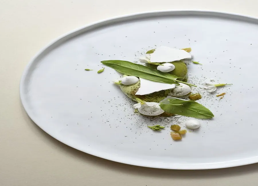 Crème d'avocat à la vanille, sorbet oseille et rhubarbe