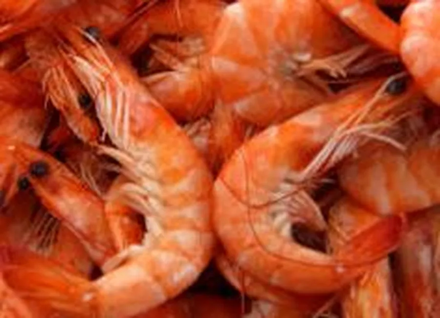 Crevettes au sofrito