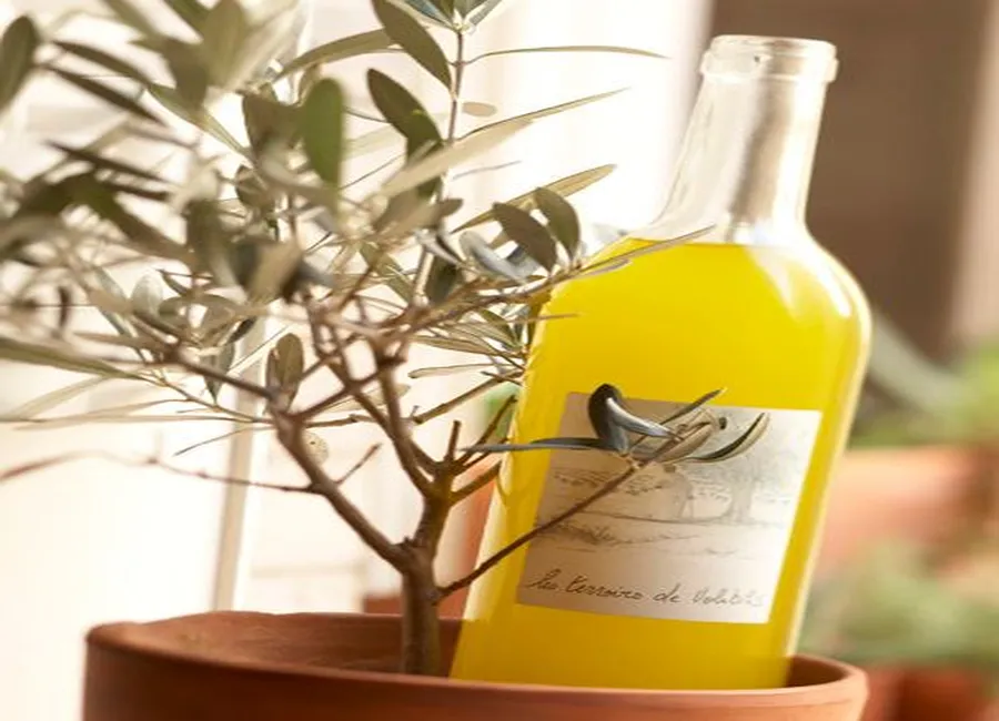 Croquants à l'huile d'olive