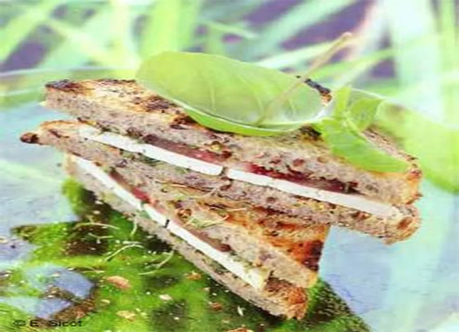 Croque-tofu