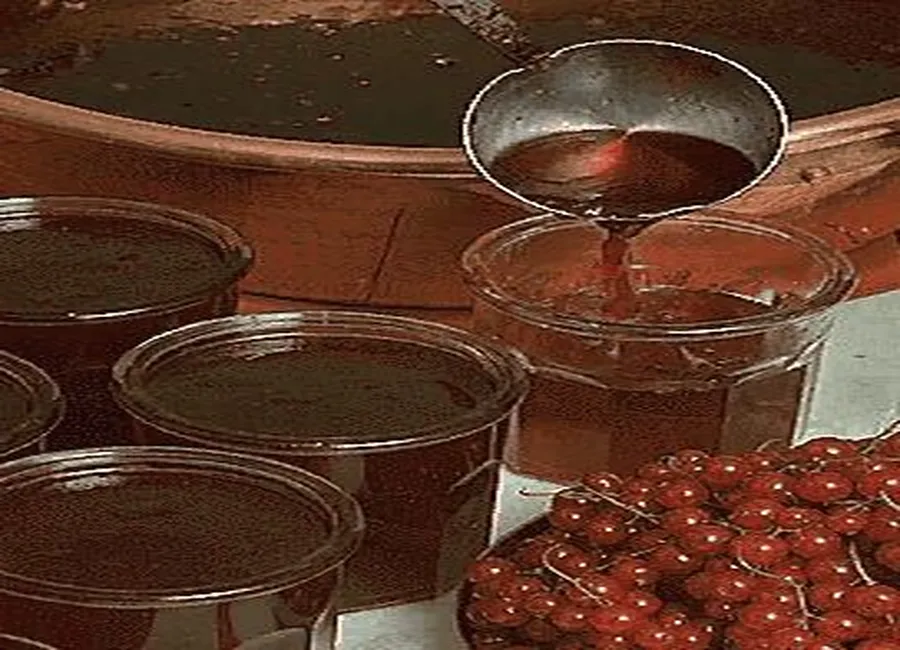 Gelée de groseille