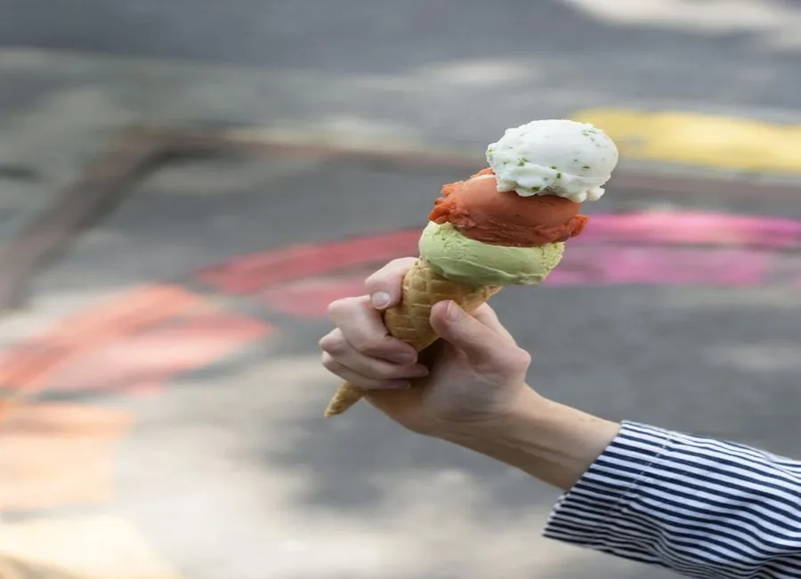 Glace au yaourt de brebis aux herbes