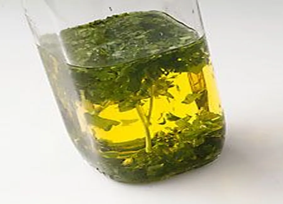 Marinade aux herbes pré vert