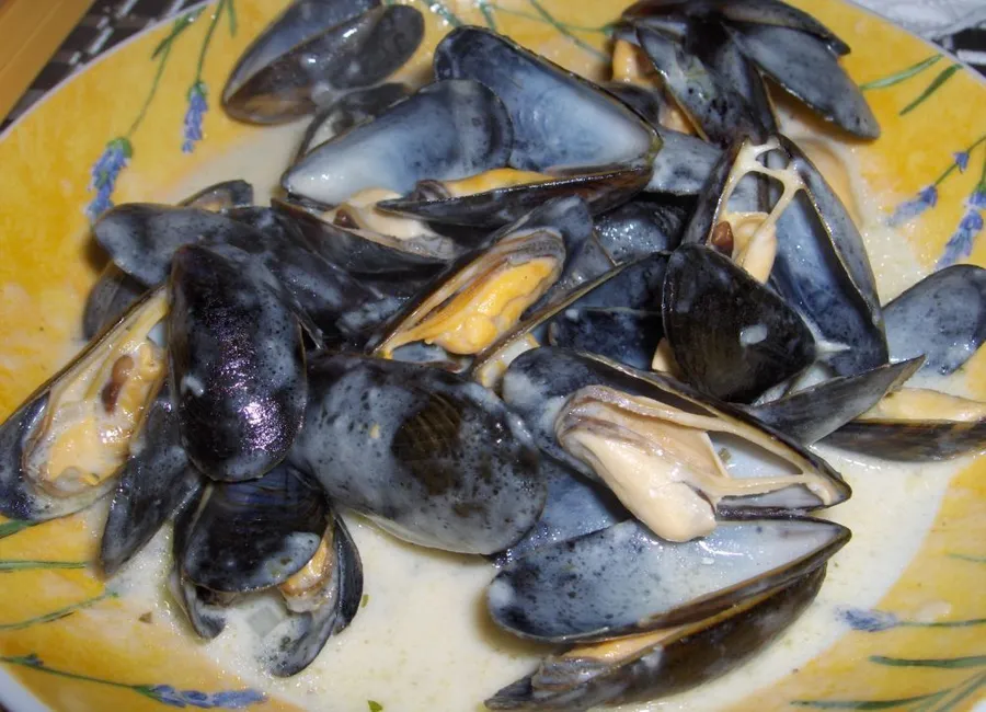 Moules de bouchot et leur sauce au comté