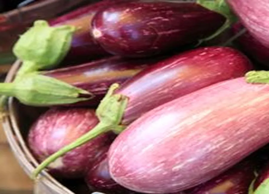 Plat étagé de riz et d'aubergines