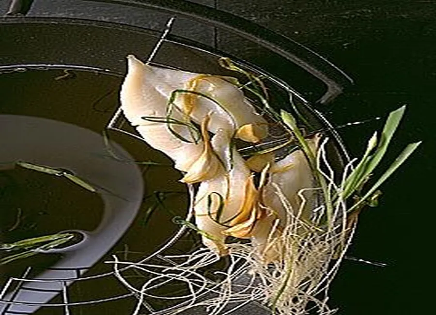 Poisson à la ciboule et au gingembre