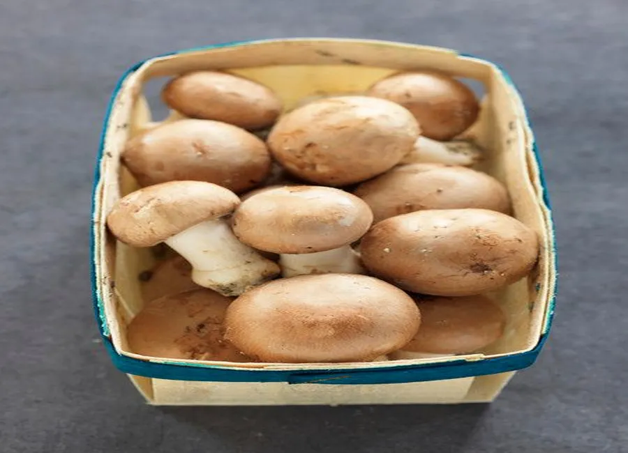 Poulet façon stroganoff aux champignons
