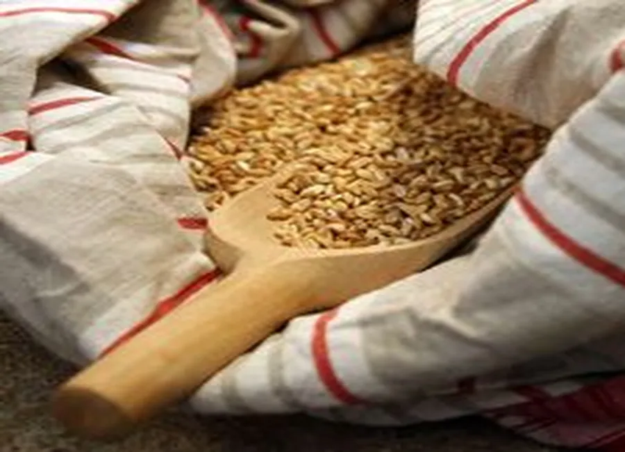 Salade de farro et de légumes grillés (insalata di farro con verdure al forno)