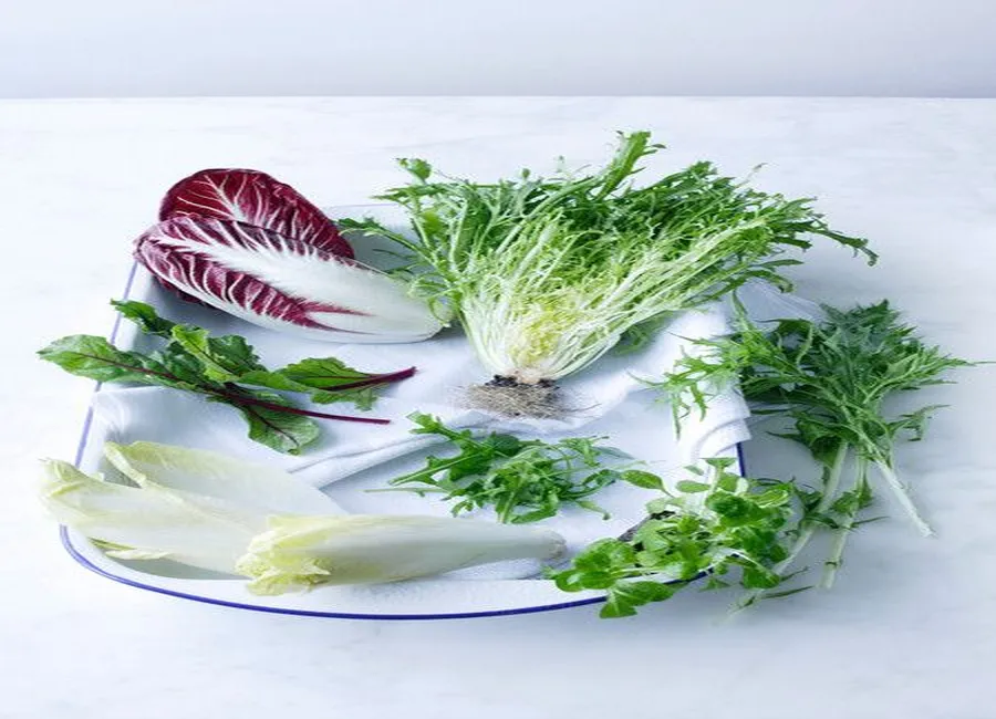 Salade de pissenlits