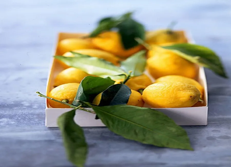 Salade de pommes de terre au citron et oeufs de saumon