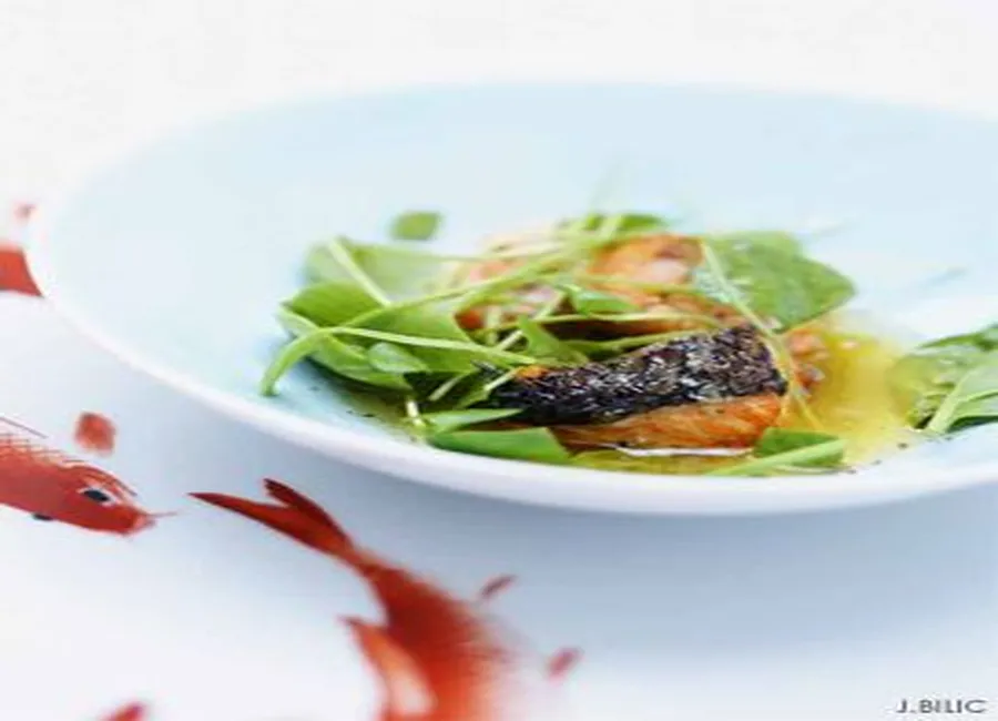 Salade de saumon grillé et vinaigrette aux agrumes