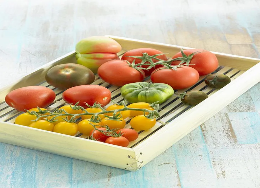Salade de tomates avec omelette
