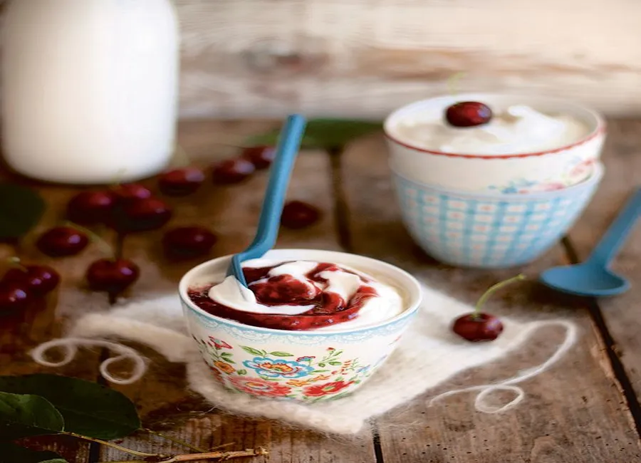 Skyr islandais