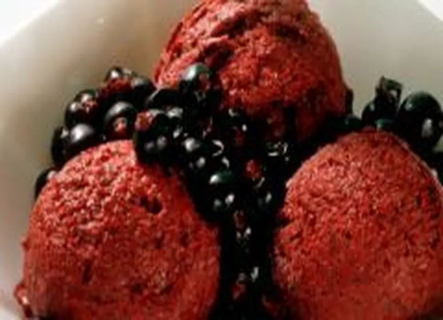 Sorbet au jus de fruits