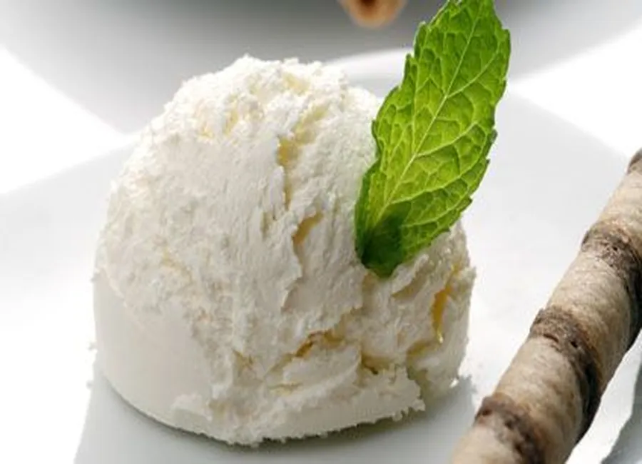 Sorbet au yaourt