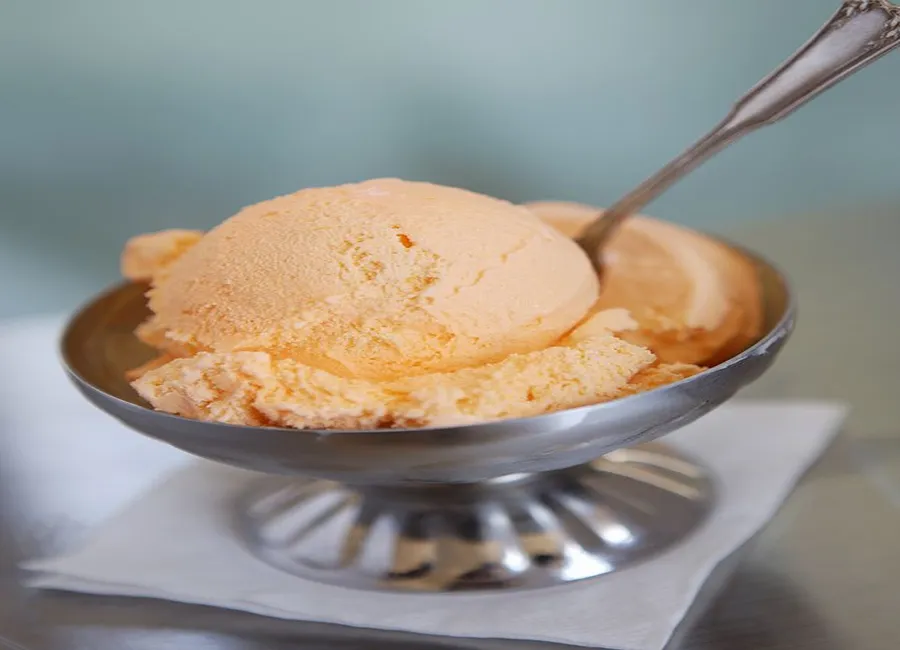 Sorbet mandarine thermomix