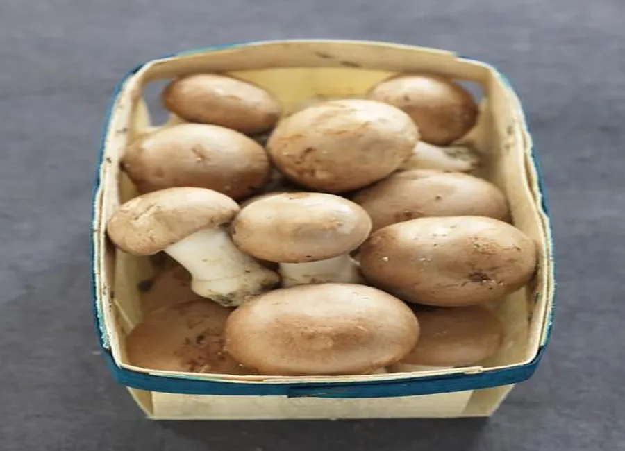 Tarte aux champignons et épices
