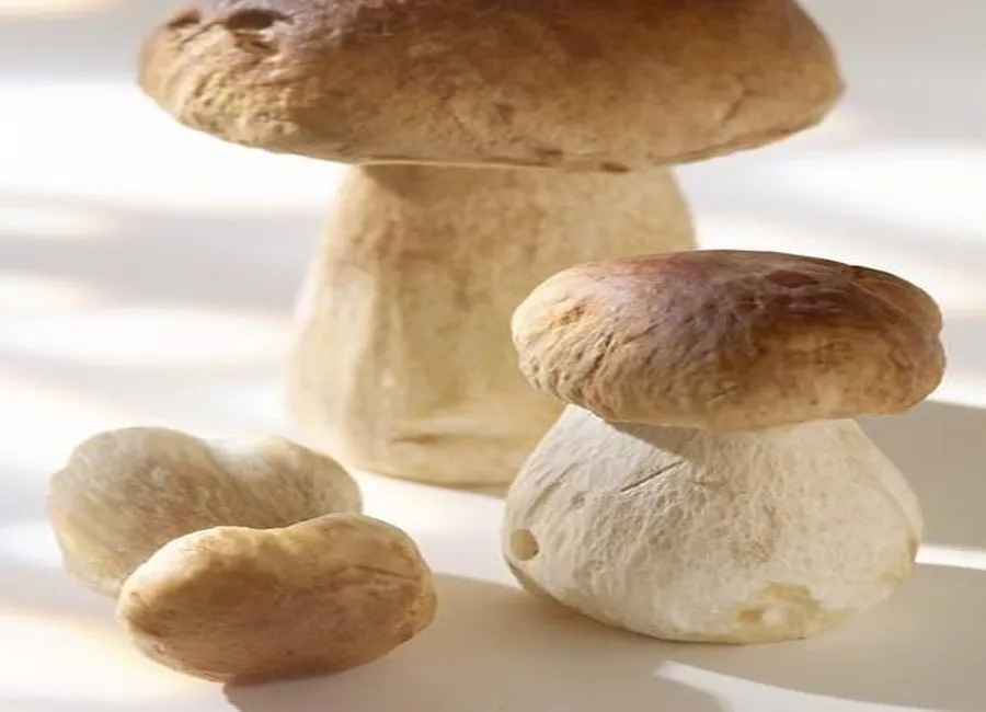 Tartelettes aux cèpes