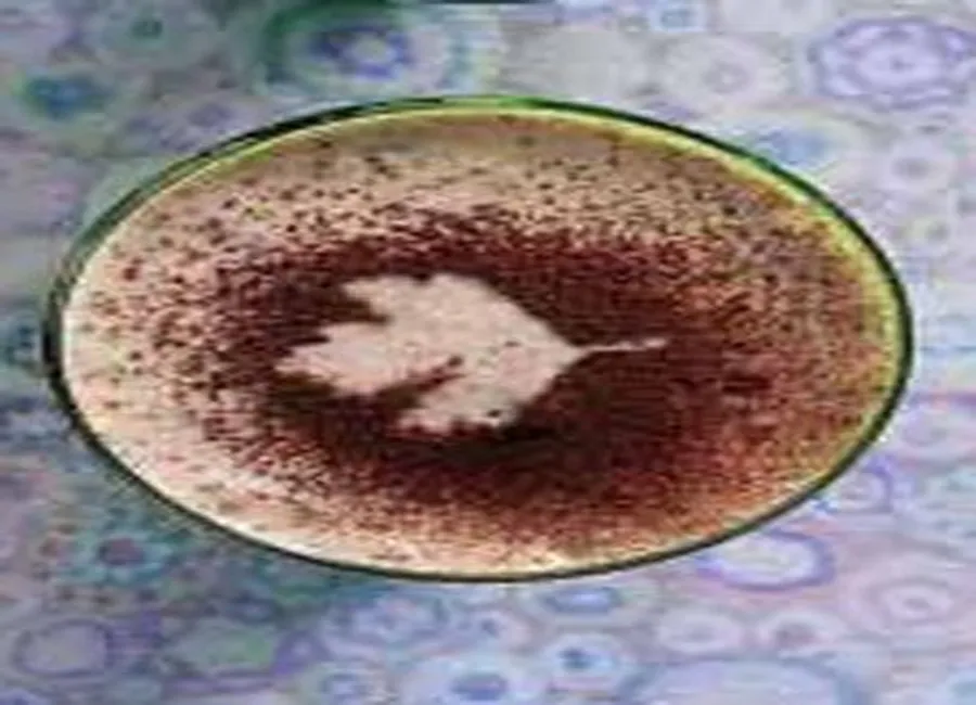 Tiramisu à l'italienne