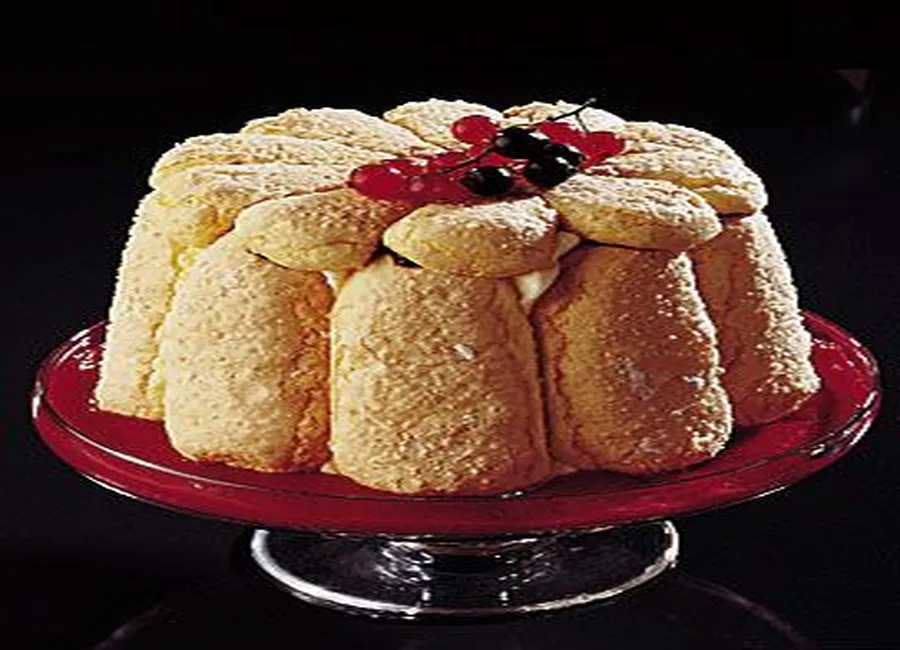Charlotte aux fruits rouges et noirs
