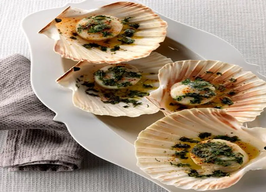 Coquilles en coquilles