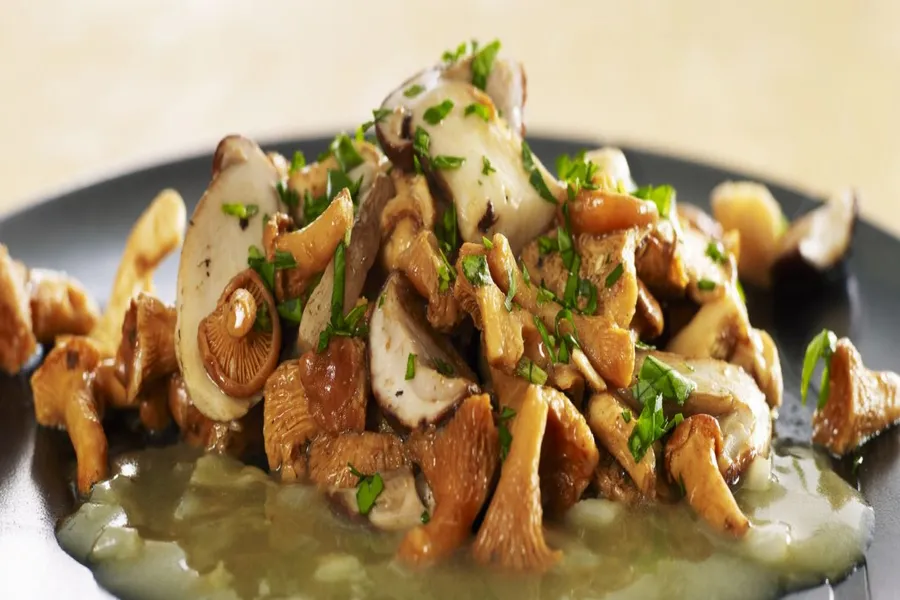 Fricassée de champignons sauvages jus de persil et estragon