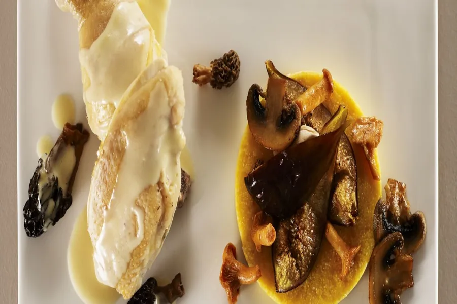 Fricassée de volaille aux morilles, galette de polenta automnale