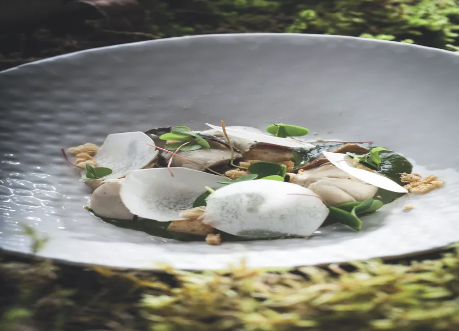 Huîtres, cèpes et oxalis