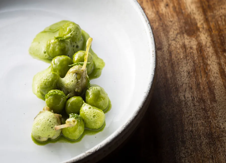 Grenouilles, gnocchi, câpres, tanaisie