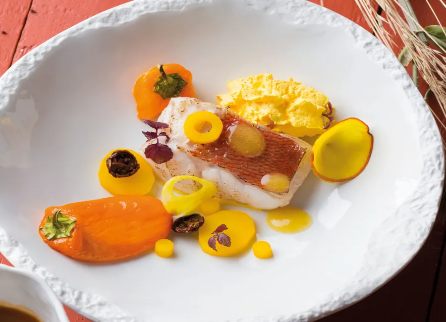Bouillabaisse de dorade sébaste