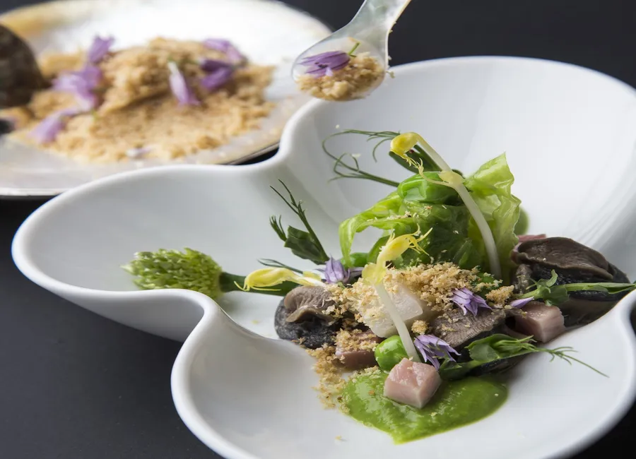 Escargots des prés de fontaines