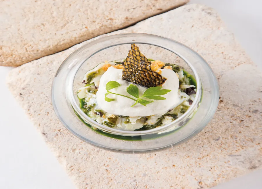 Ceviche de daurade royale aux herbes d’iroise
