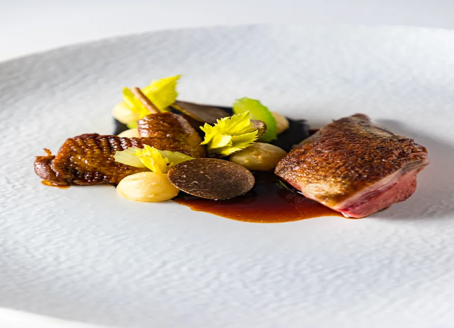 Pigeon, céleri et truffe d’hiver