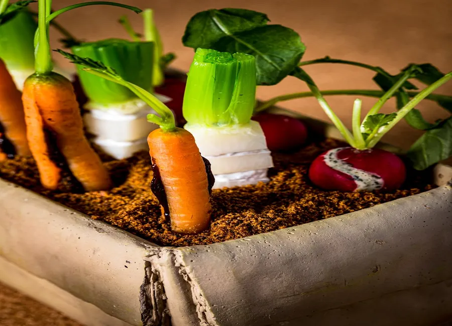 La jardinière de légumes et terre d’oignon végétale