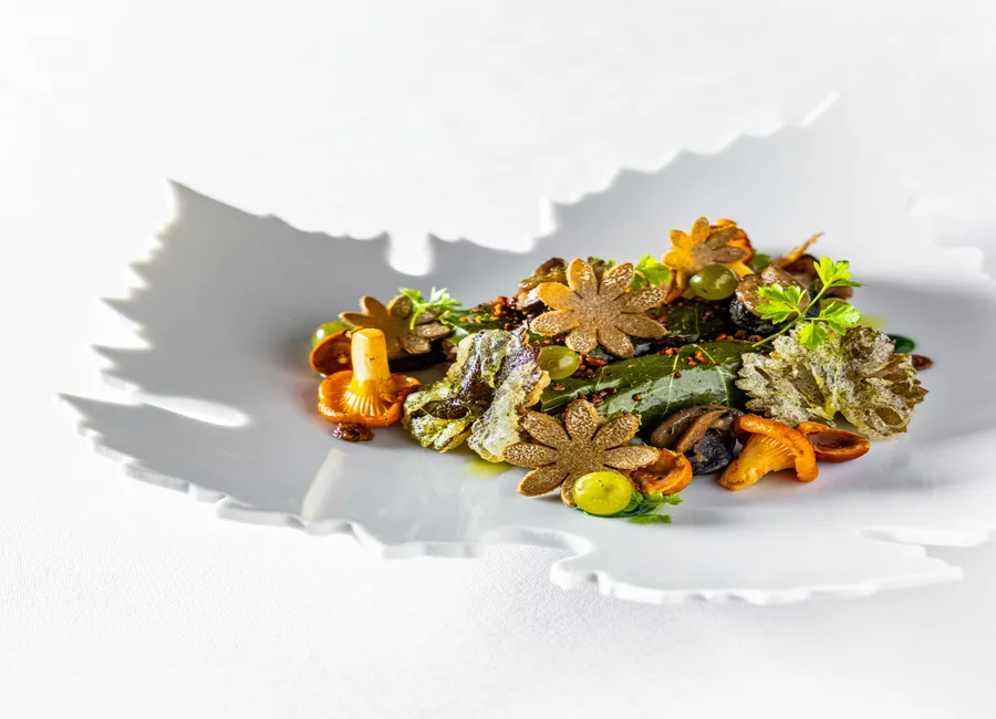 Feuilles de vigne farcies aux escargots et champignons des bois