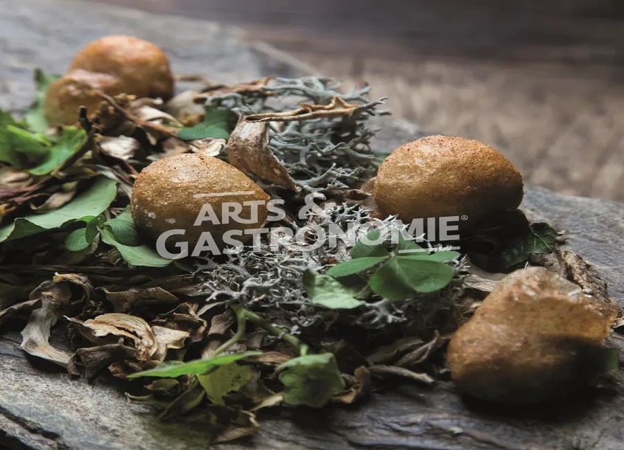 Escargots de dienay frits au levain