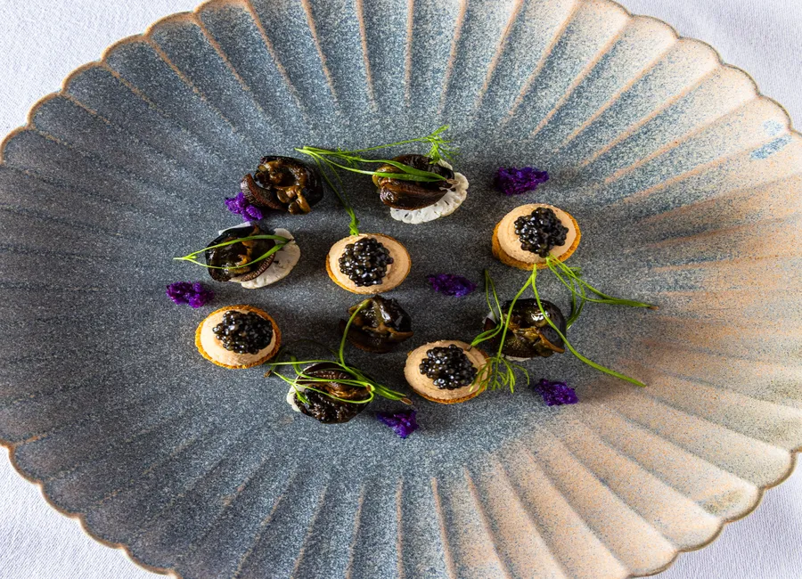 Escargot de bourgogne