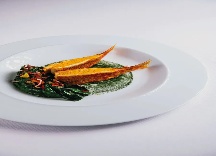 Jambe de poulpe, purée de céleri