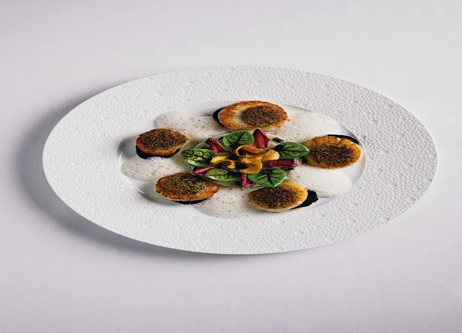 Noix de saint-jacques, topinambour truffe
