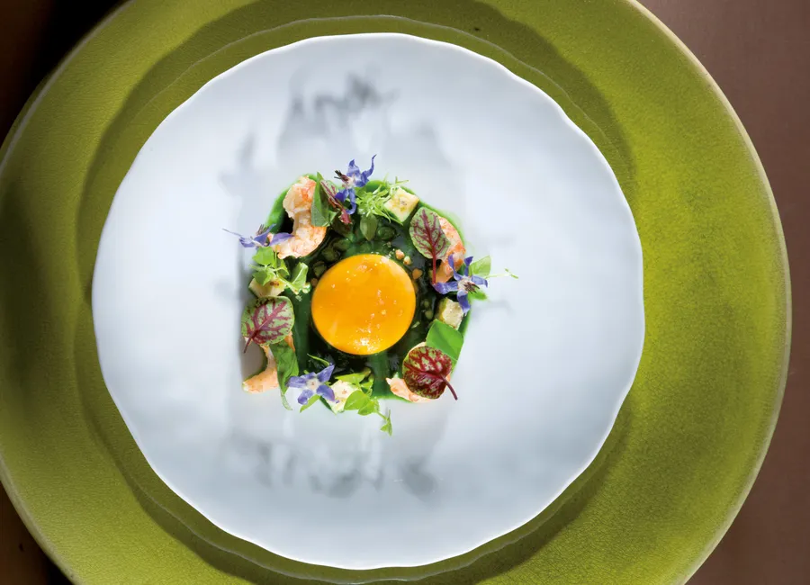 Oursin fenouil confit au champagne
