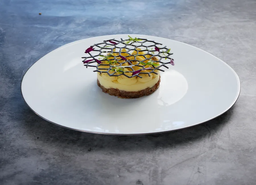 Parmentier de canard